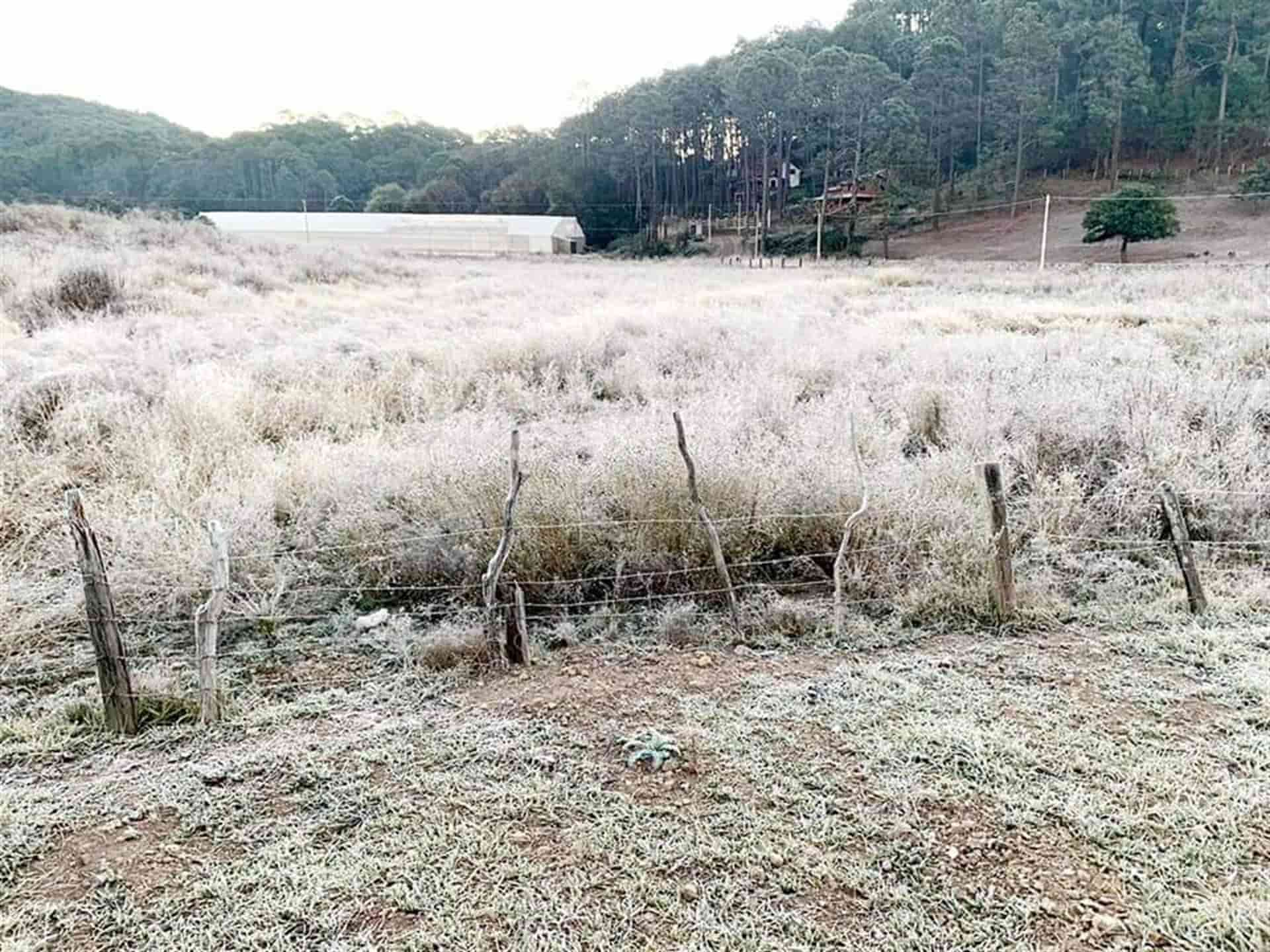 FOTO: Cortesía
