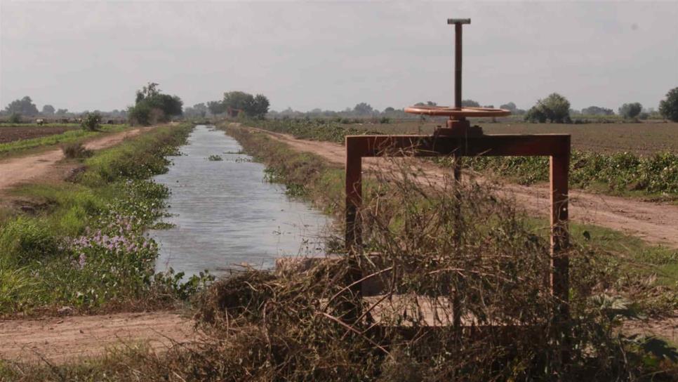 Urgente evitar pérdida de agua por filtraciones en canales de riego: Esquer Peiro