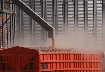 Ejercerán acciones legales contra saqueadores de bodegas de Estación Francisco