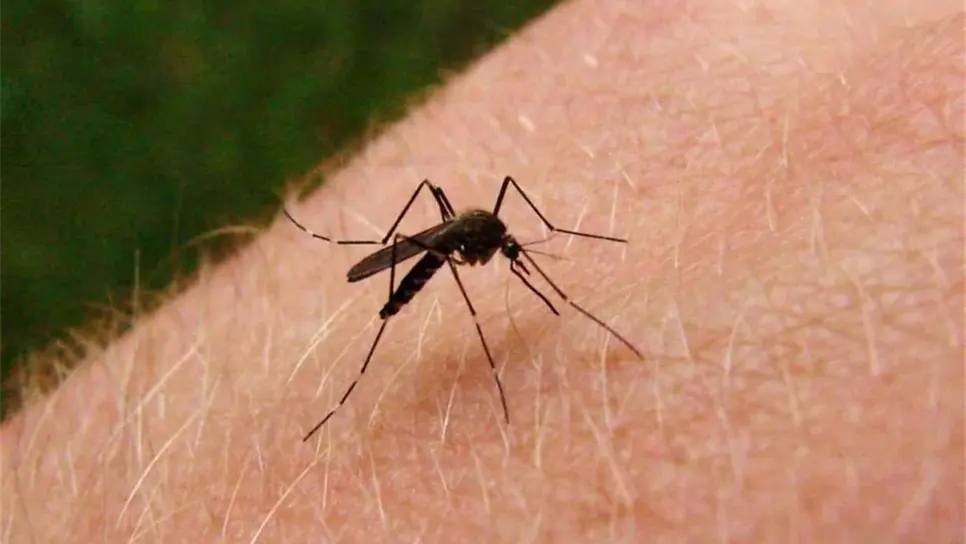 FOTO: Archivo Luz Noticias.