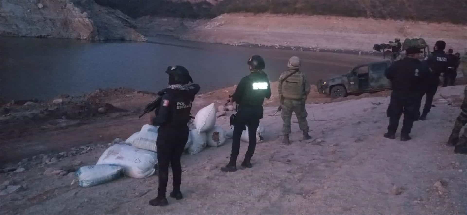 BOMU asegura casi 200 kilos de mariguana en Las Taunitas, Choix