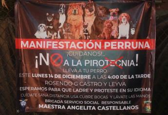 Llaman al no uso de pirotecnia; también daña a las mascotas