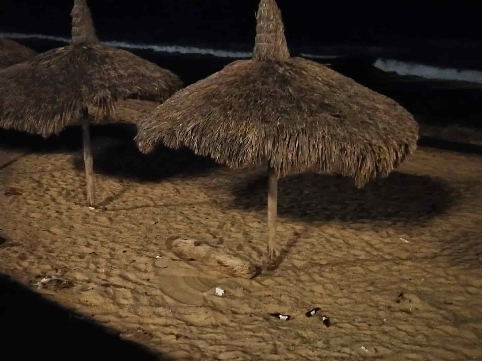 FOTO: Alexis Morales.