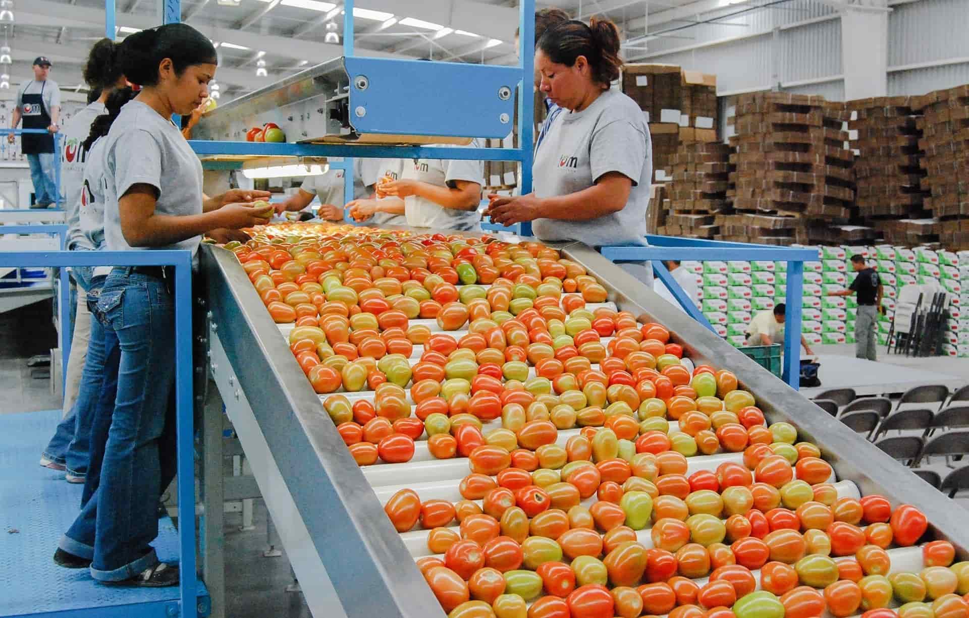 Superávit agroalimentario de México supera los 10 mil millones de dólares