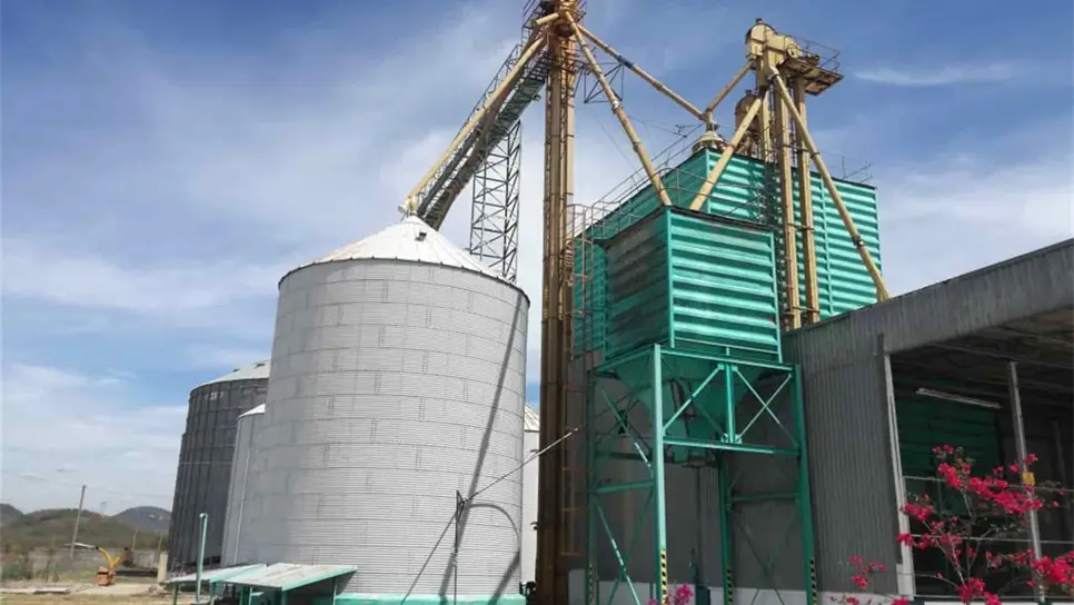 FOTO: Archivo Luz Noticias.