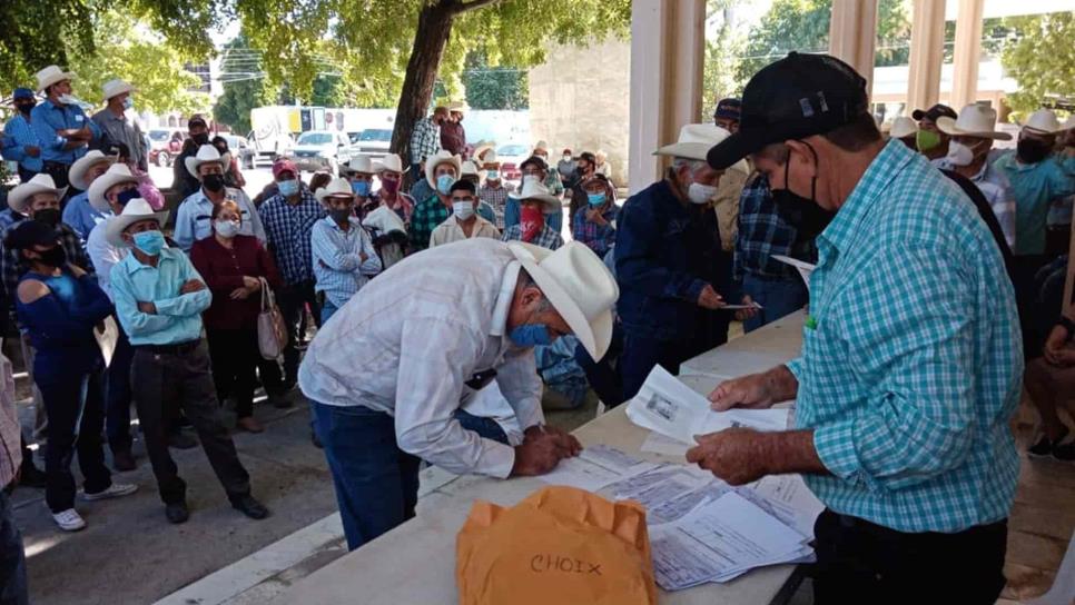 Inician el pago de apoyo de seguro catastrófico a temporaleros de Choix