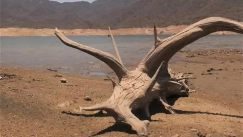 FOTO: Luz Noticias | Archivo.