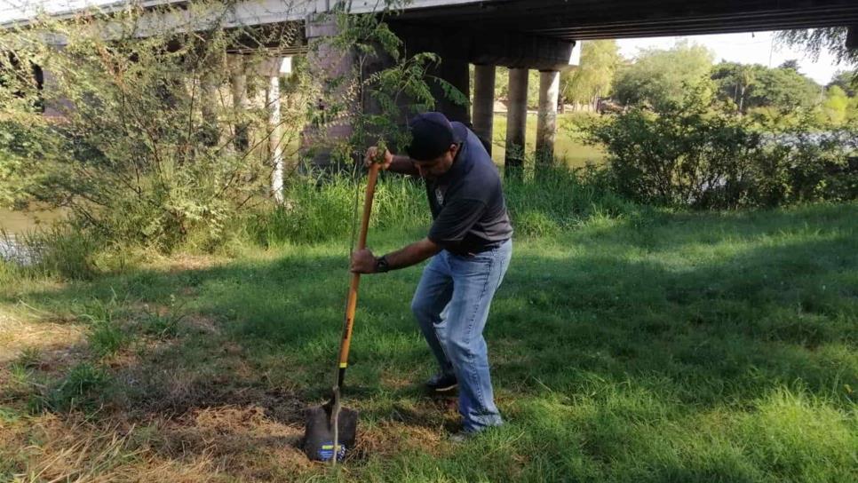 Buscan plantar mil árboles en todo Culiacán