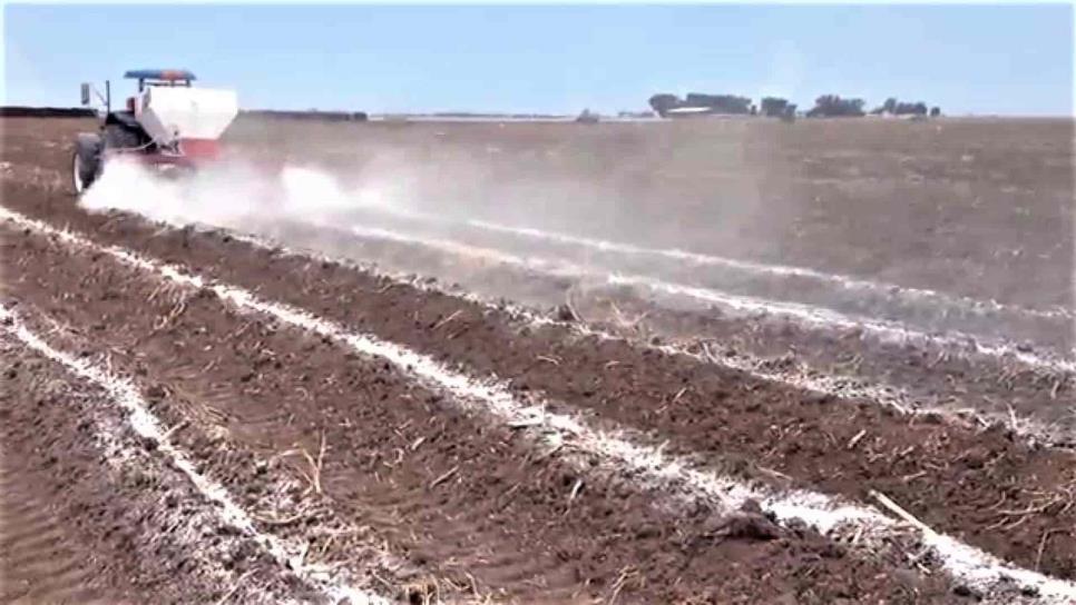 Desabasto mundial de amoniaco afecta a productores Sinaloenses