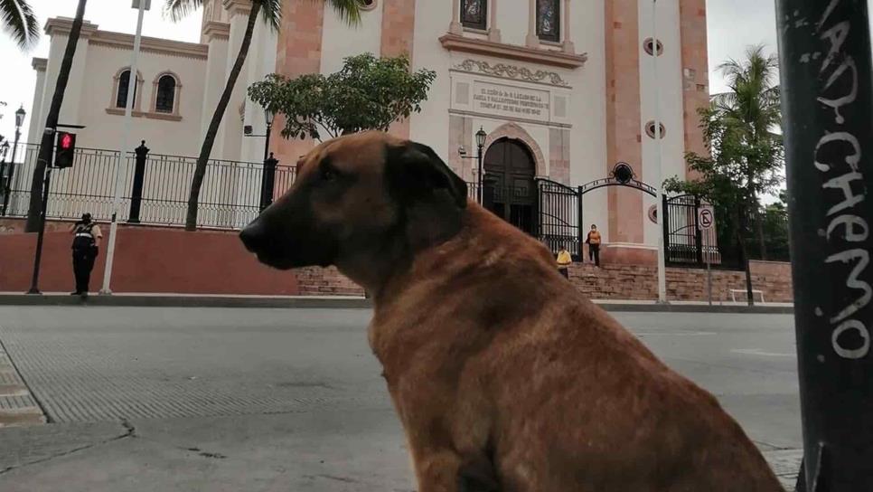 Se suman en Mazatlán a colecta de llaves para estatua del “Capitán”, de Culiacán