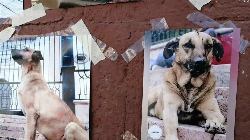 FOTO: Brianda López.