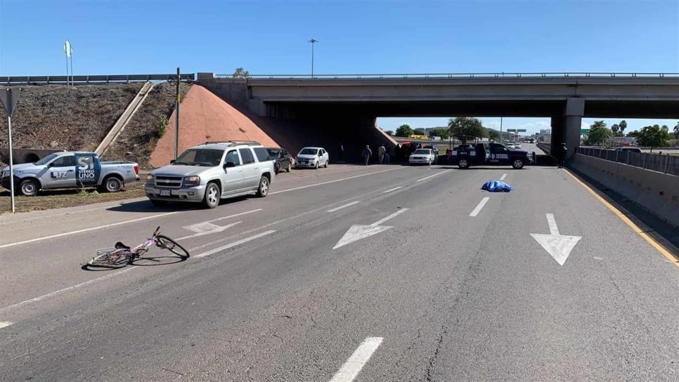 Atropellan y matan a un ciclista abajo del puente del Trébol en Los Mochis