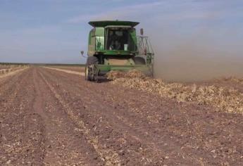 La producción de alimentos tiene un alto costo en el medio ambiente: especialista