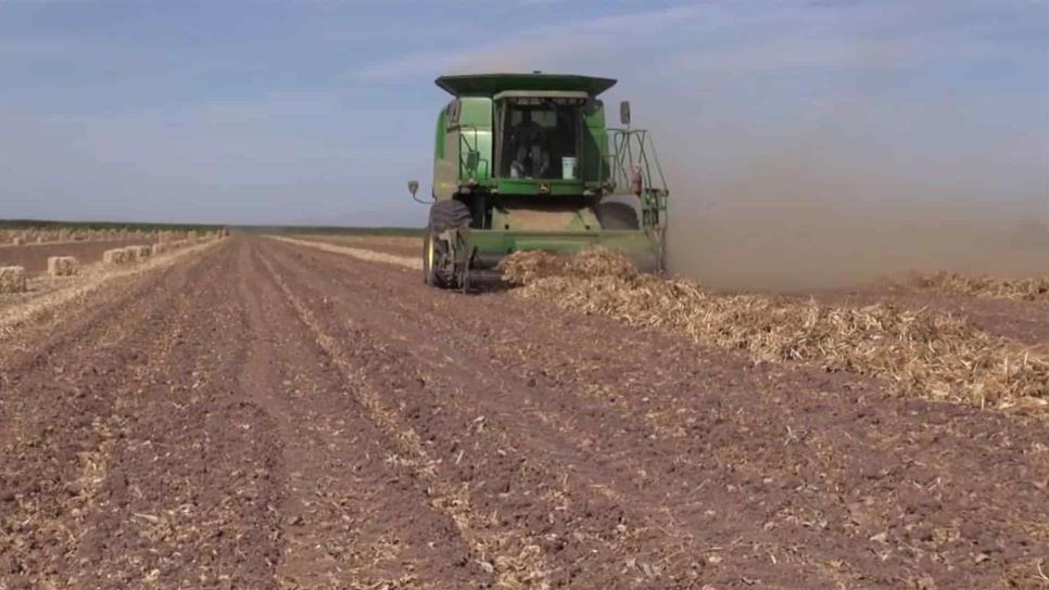 La producción de alimentos tiene un alto costo en el medio ambiente: especialista