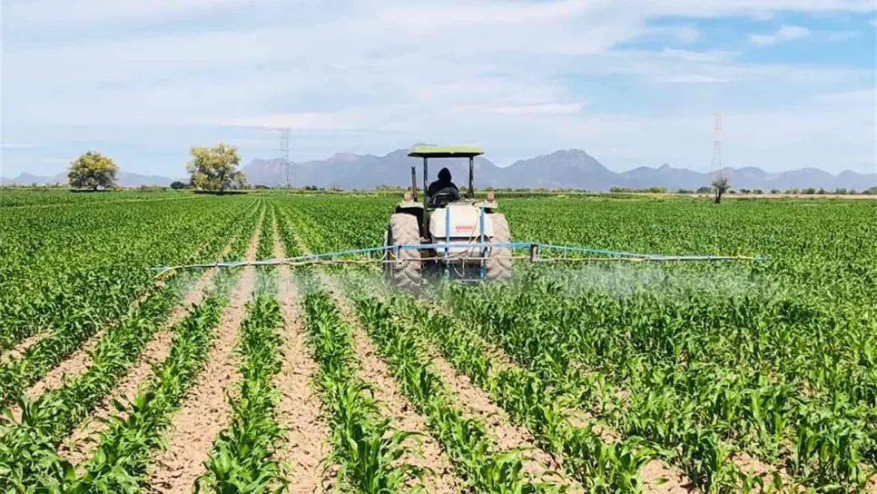 FOTO: Luz Noticias | Archivo.