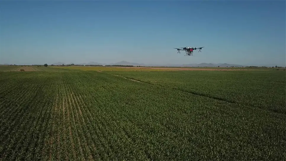 FOTOS: Martín Ruiz.