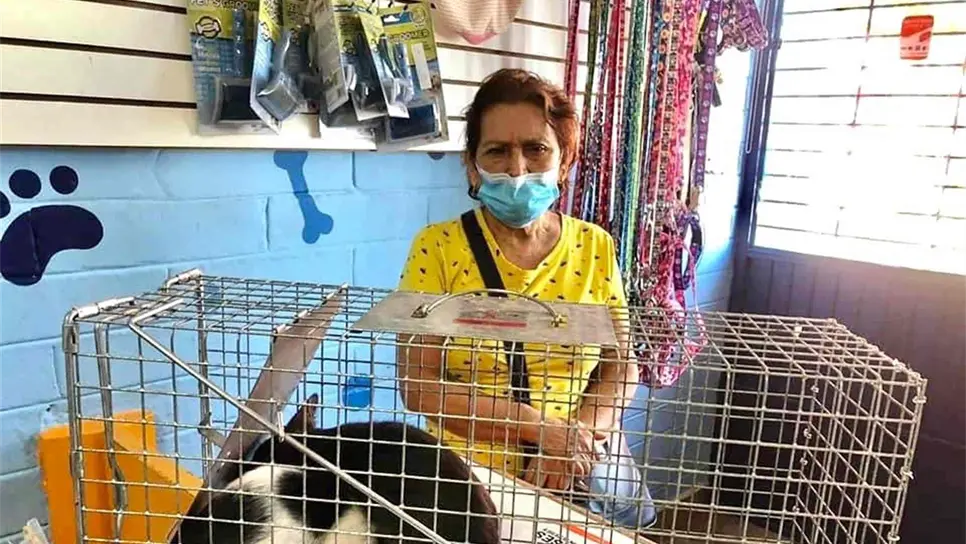 Oralia ha llevado a esterilizar a más de 20 gatos callejeros de la Díaz Ordaz