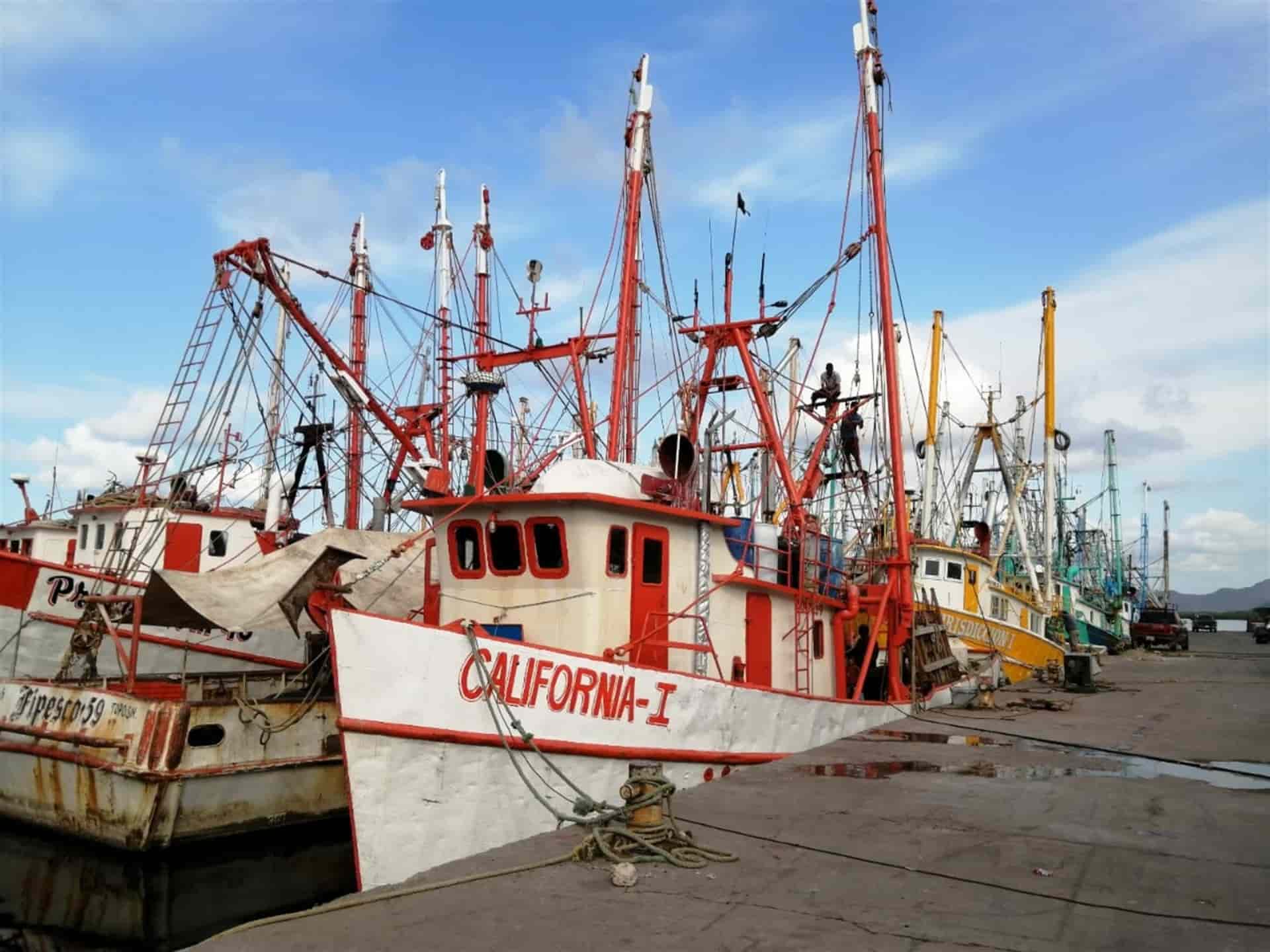 El 80% de los barcos ya se encuentran en autoveda
