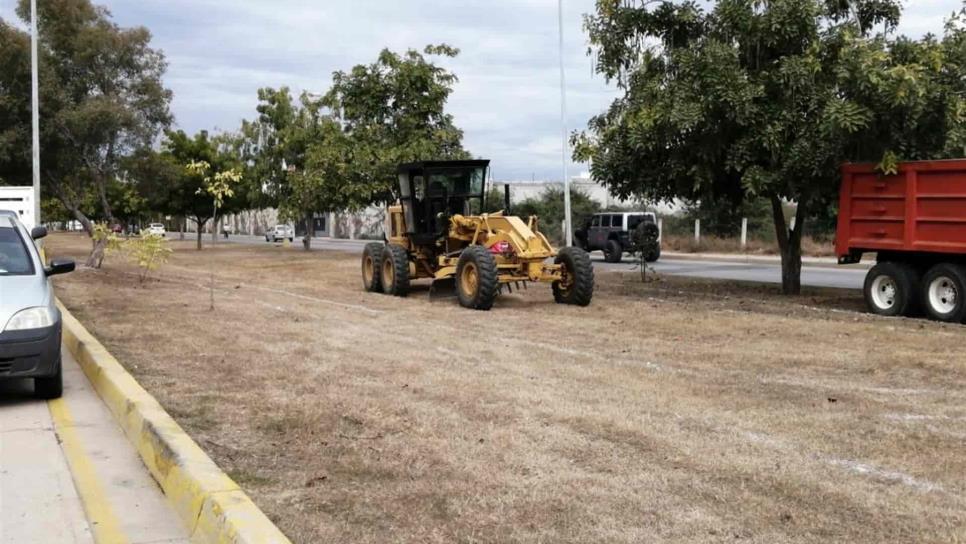 Inicia construcción de ciclovía en avenida Carlos Canseco, con una inversión de 5 mdp