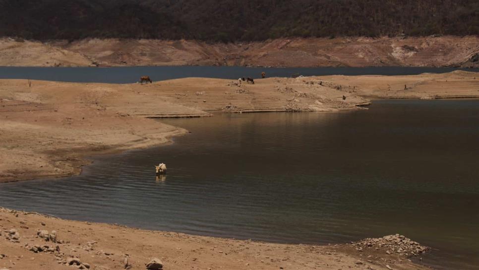 Presa Huites espera aportaciones por recientes lluvias: Conagua