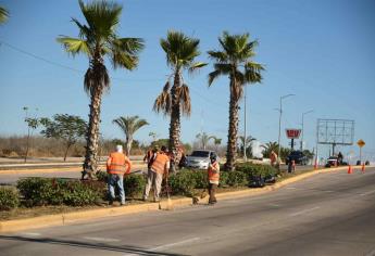 Tenemos que acostumbrar a la ciudadanía a vivir en un lugar limpio: Servicios Públicos