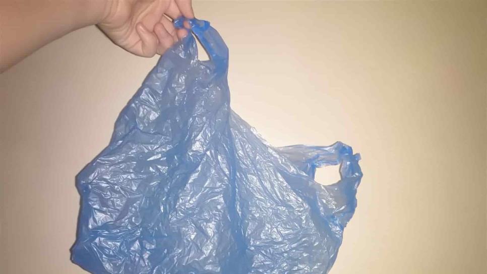 Van 8 empresas sancionadas por utilizar plásticos no biodegradables
