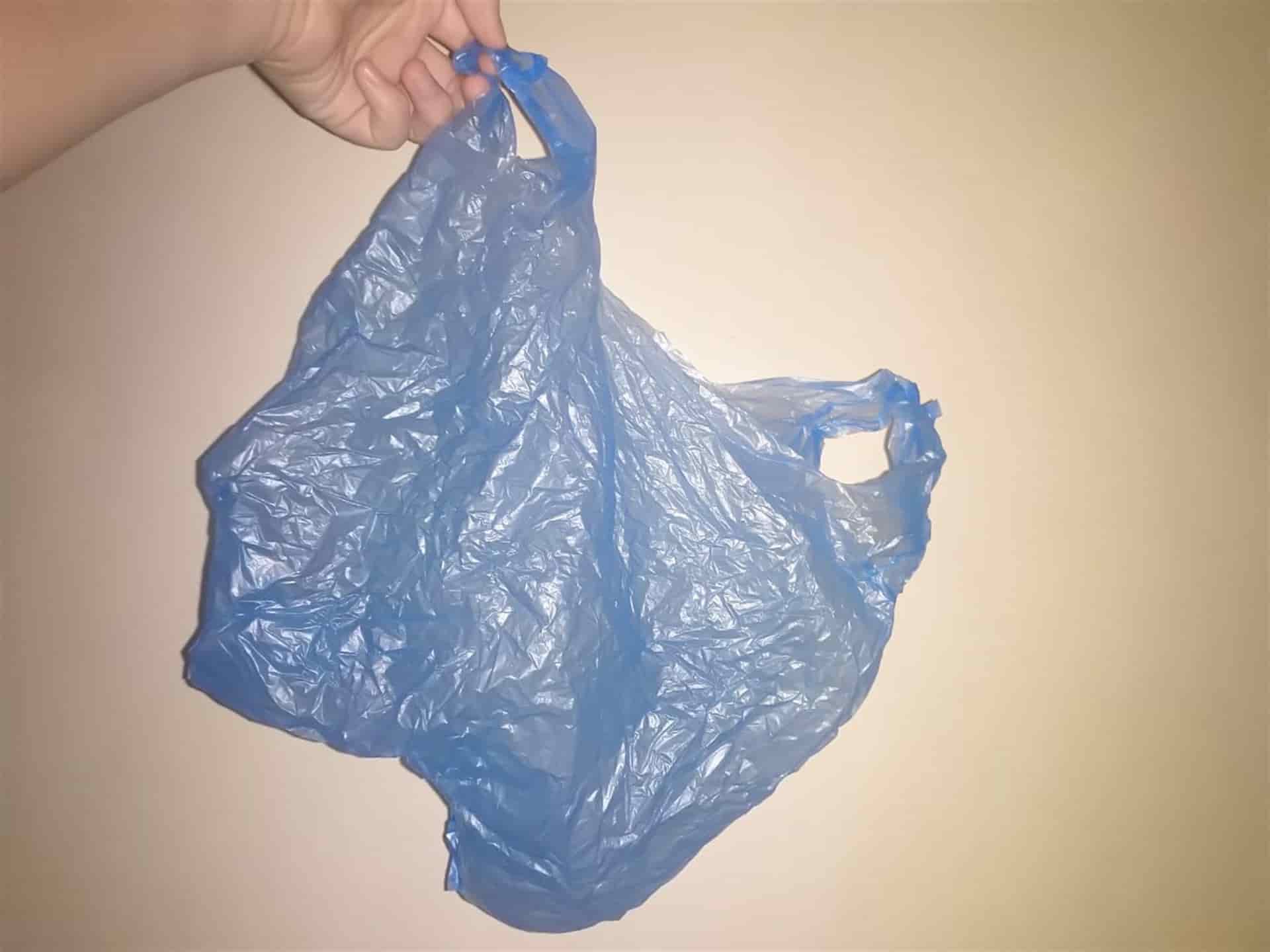 FOTO: Alexis Morales.