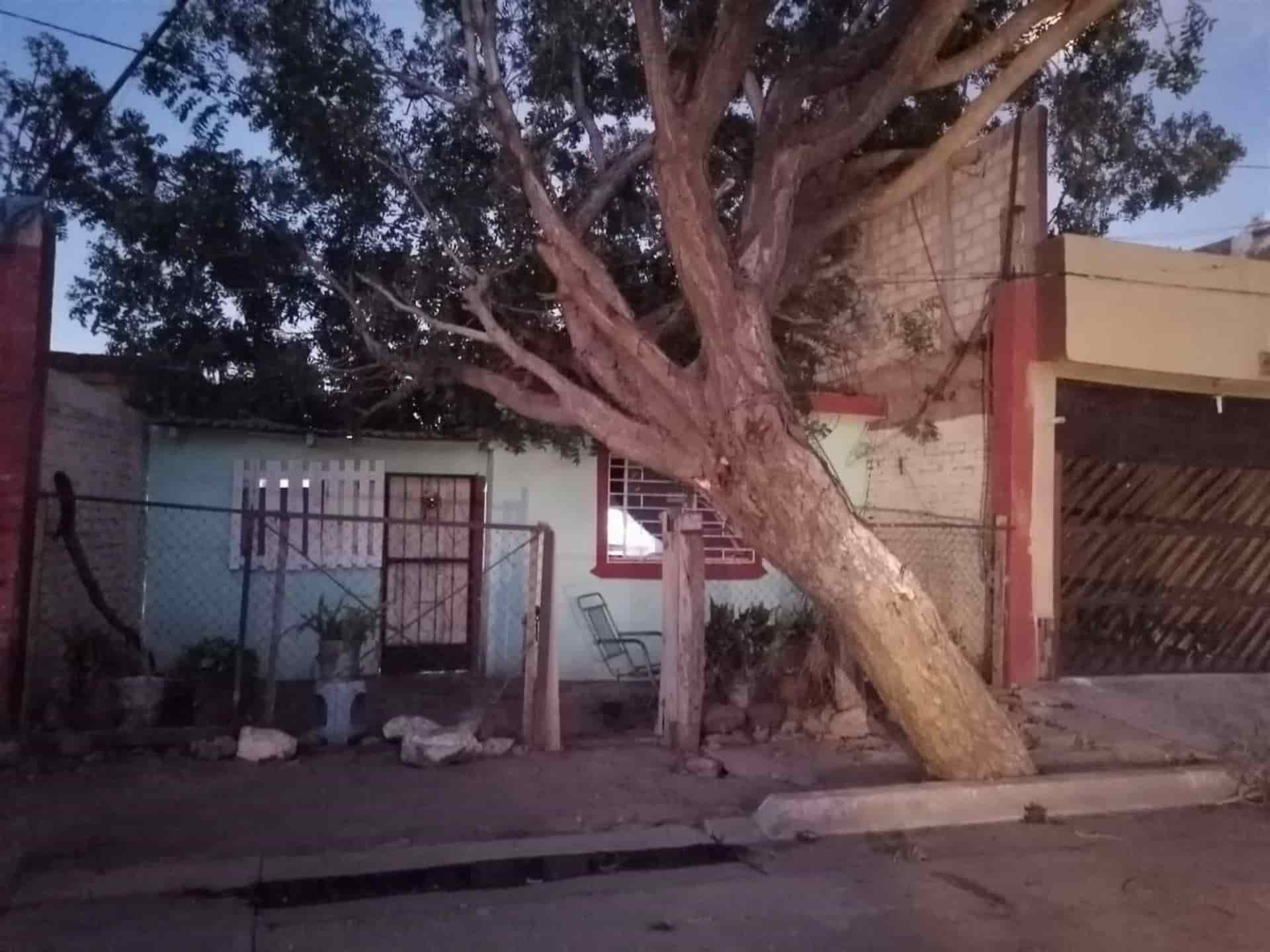 FOTO: Ernesto Torres.
