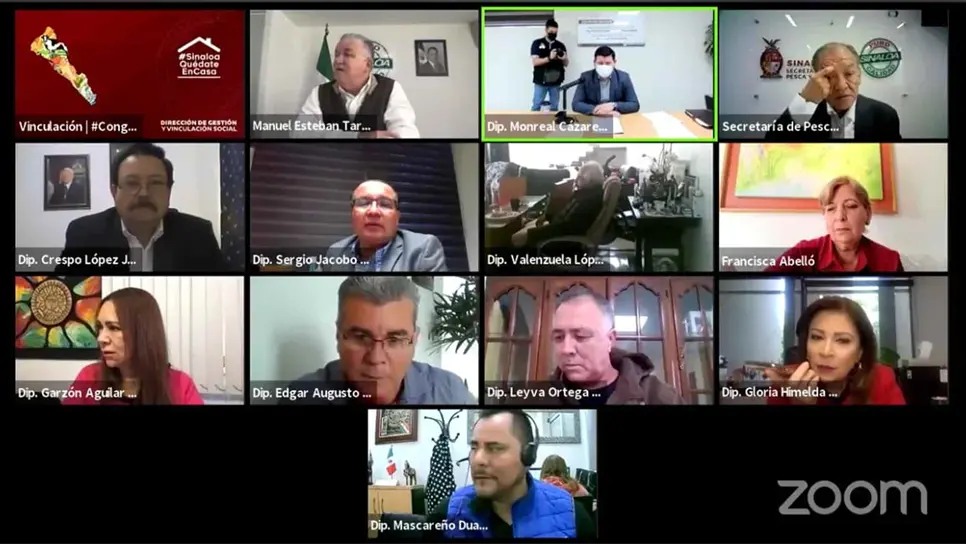 FOTO: Captura de videoconferencia.