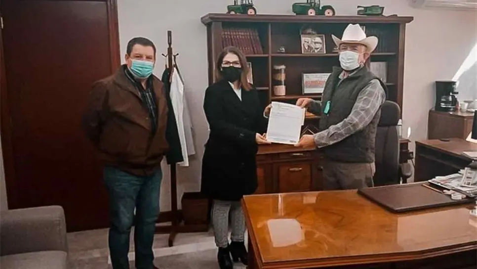 Registran en Guasave frijol Amara cosecha de corazón