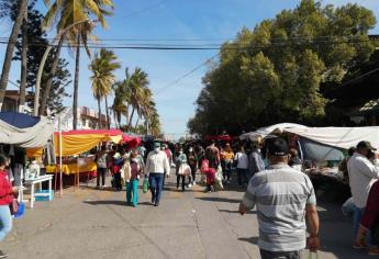 Disminuyen número de oferentes en el tianguis dominical como medida anticovid