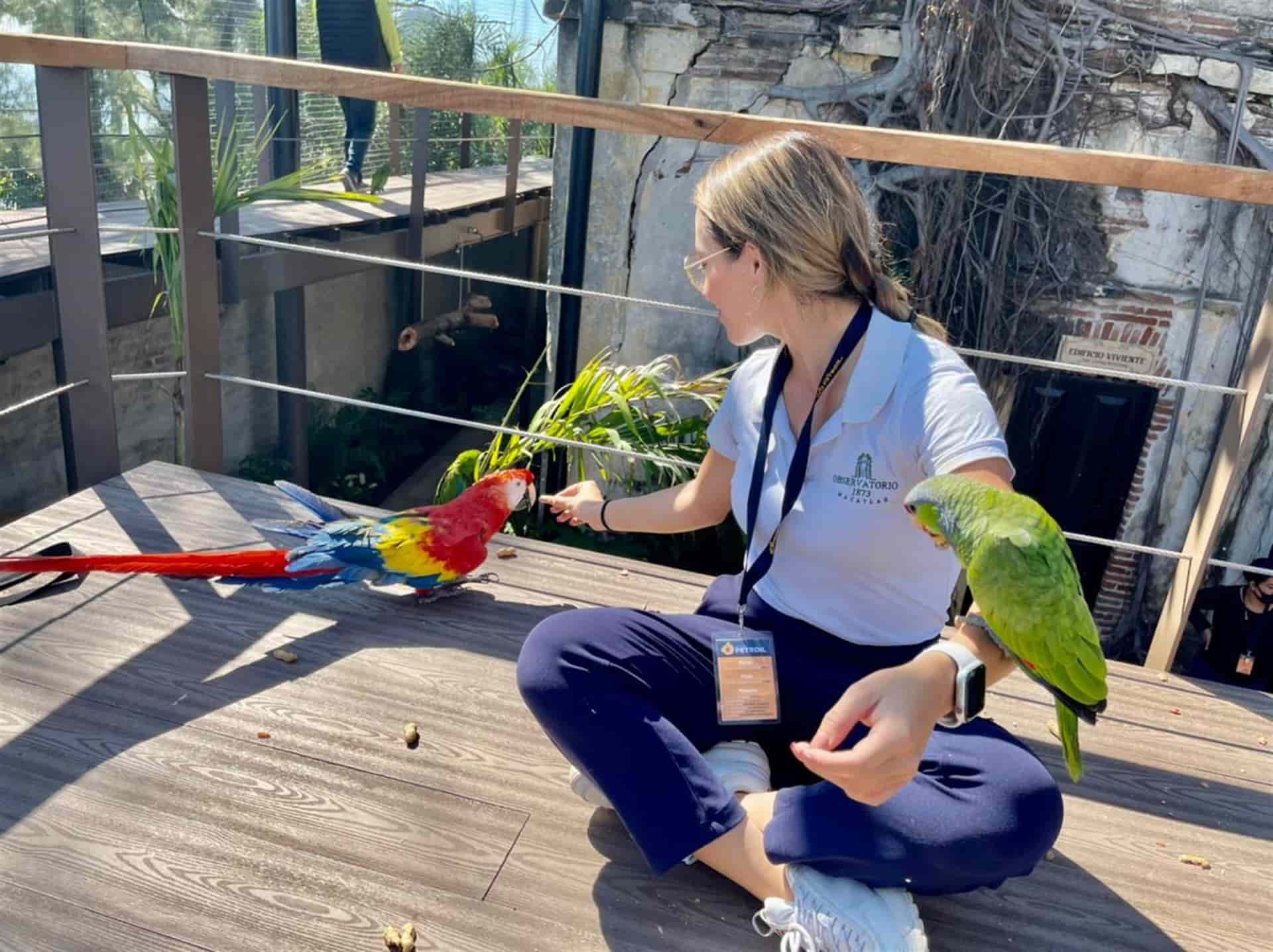 Mazatlán recibirá a todas las aves mexicanas producto de decomisos en el país