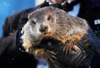 Phil, la marmota de Punxsutawney, vaticina seis semanas más de invierno