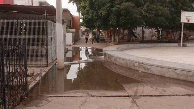 Imagen Placeholder