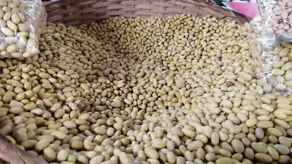 FOTO: Archivo Luz Noticias.