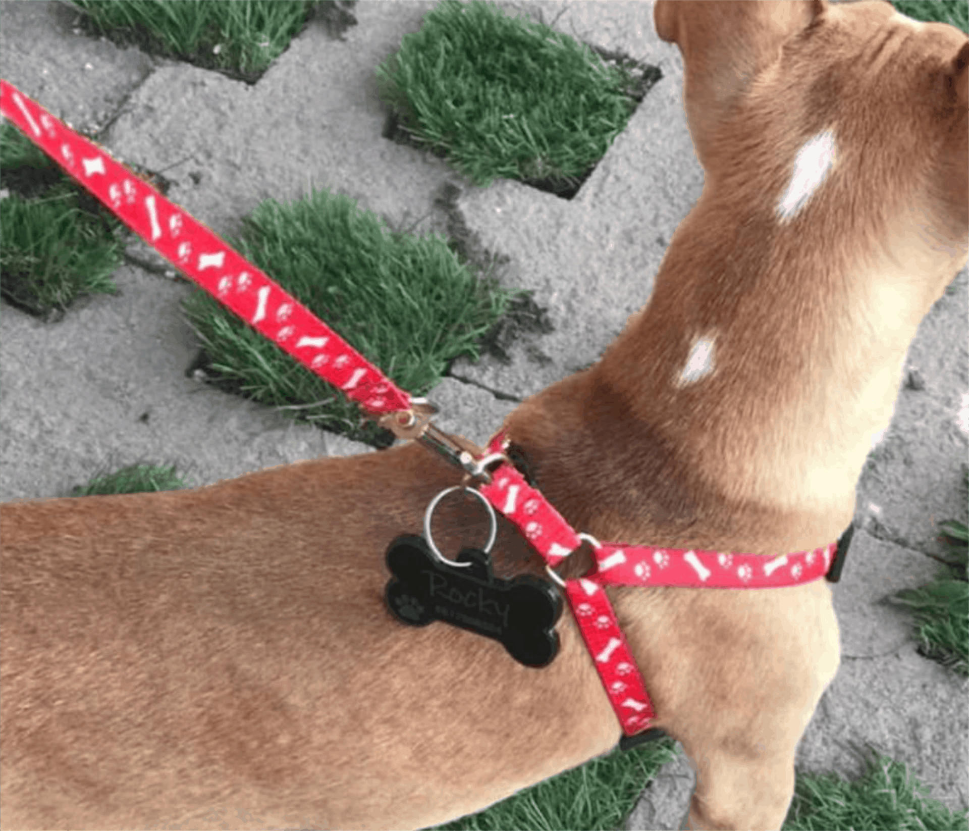 FOTO: Heidi Fonseca.