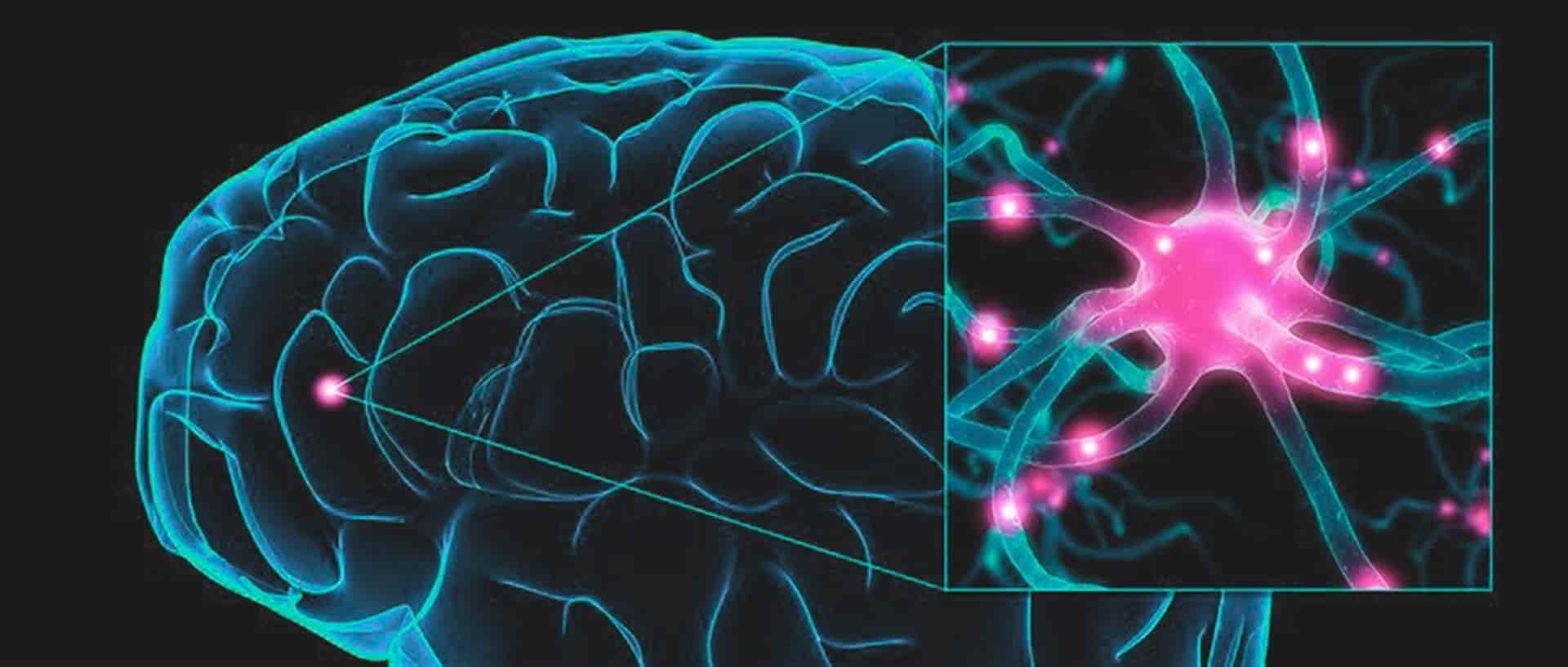 Cuatro de cada 6 pacientes epilépticos son graves: IMSS