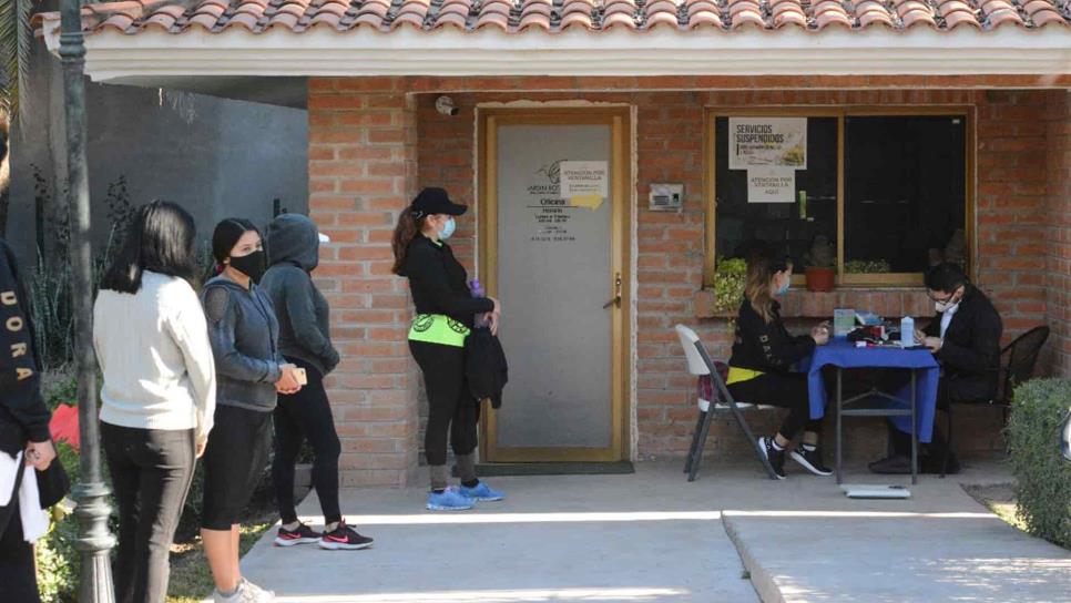 Jardín botánico ofrece atención nutricional gratuita