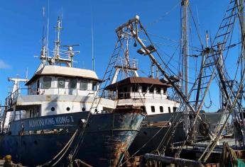 Situación crítica para la pesca, armadores reportan el 80 % de la flota amarrada