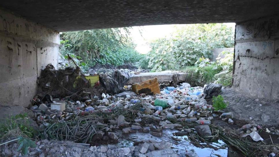 Desazolvan arroyos de Culiacán, en algunos continúa la acumulación masiva de basura