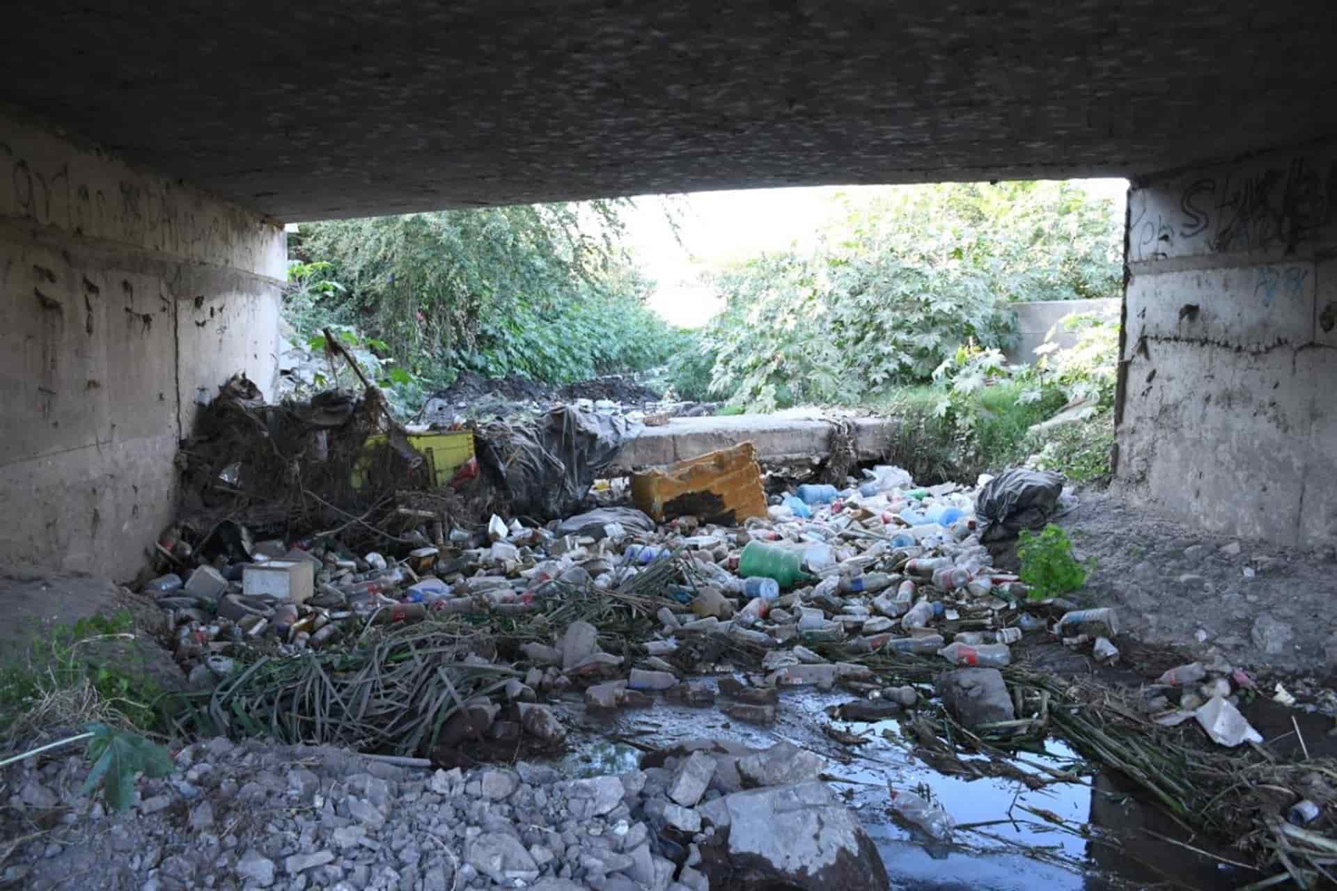 FOTO: Heidi Fonseca.