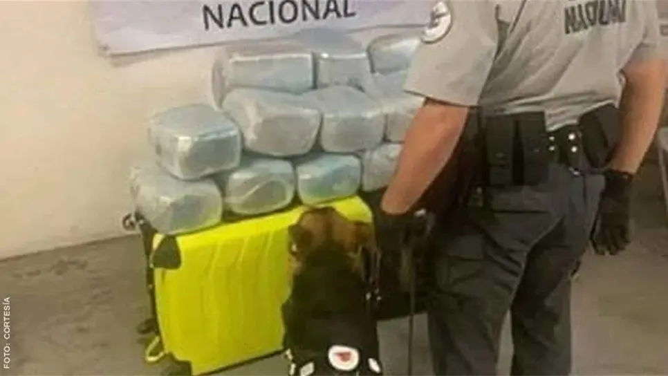 Siete años de cárcel a un hombre detenido con 1 tonelada 660 kilos de mariguana