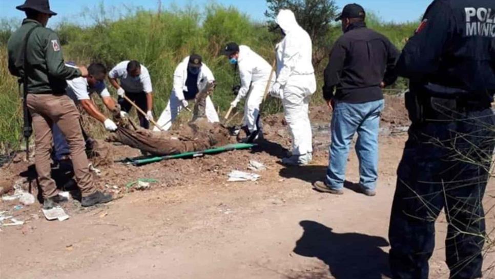 Rastreadoras localizan una osamenta en Guasave