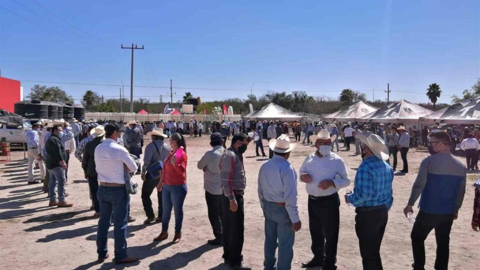 Inicia elección para nuevo presidente de la Ganadera de El Fuerte