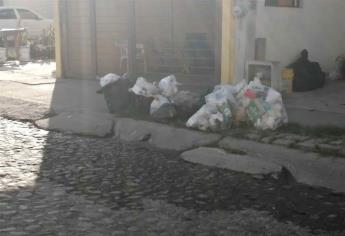 Acumulación de basura, por destrucción de contenedores: Servicios Públicos