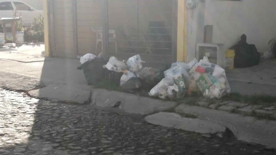 Acumulación de basura, por destrucción de contenedores: Servicios Públicos