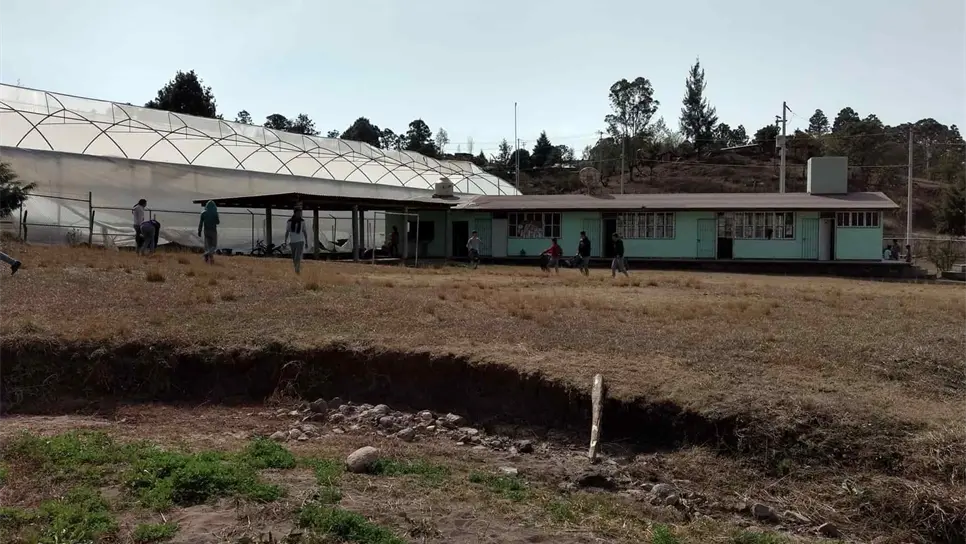 FOTO: Temática (vía Animadores Surutato Facebook).