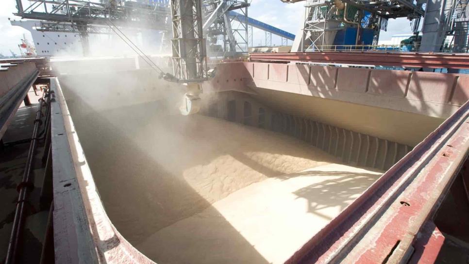China aumentará la superficie de maíz