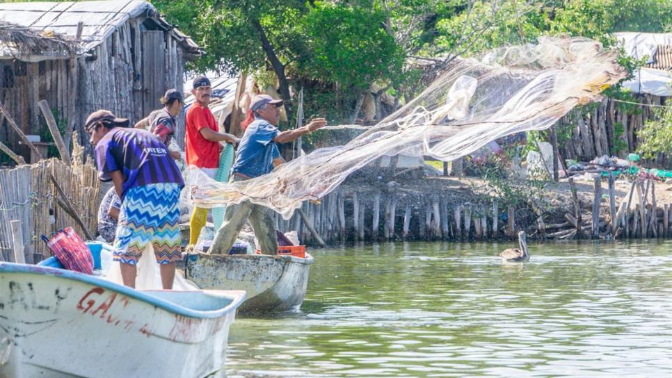 Sin problema se harán los pagos del Bienpesca, asegura la Conapesca