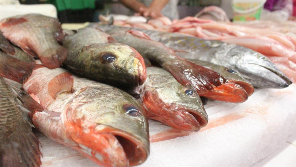 Cuaresma: estos son los precios promedio de pescados y mariscos según la Profeco